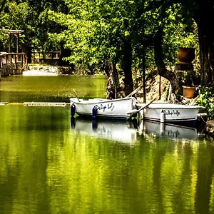dalya-life.turkeyfethiyehotels.com/